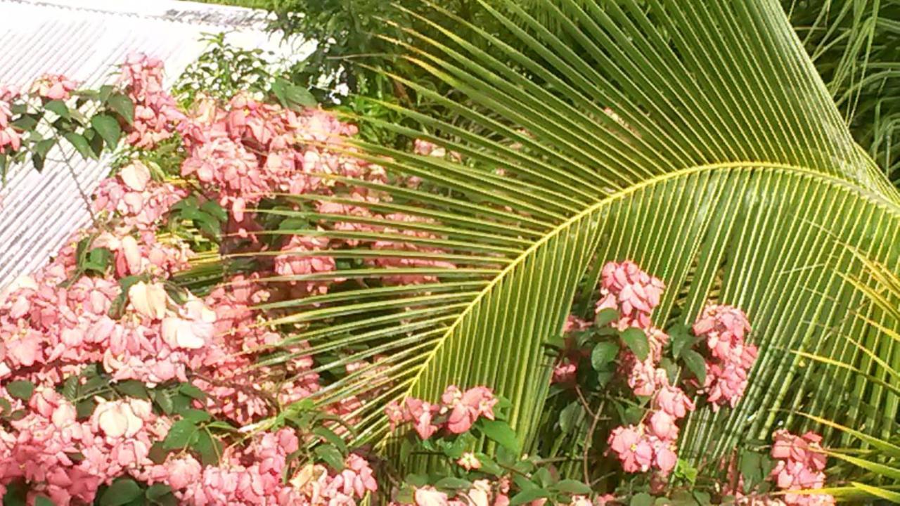 T2 Kay Zanndoli Villa La Trinite Ngoại thất bức ảnh